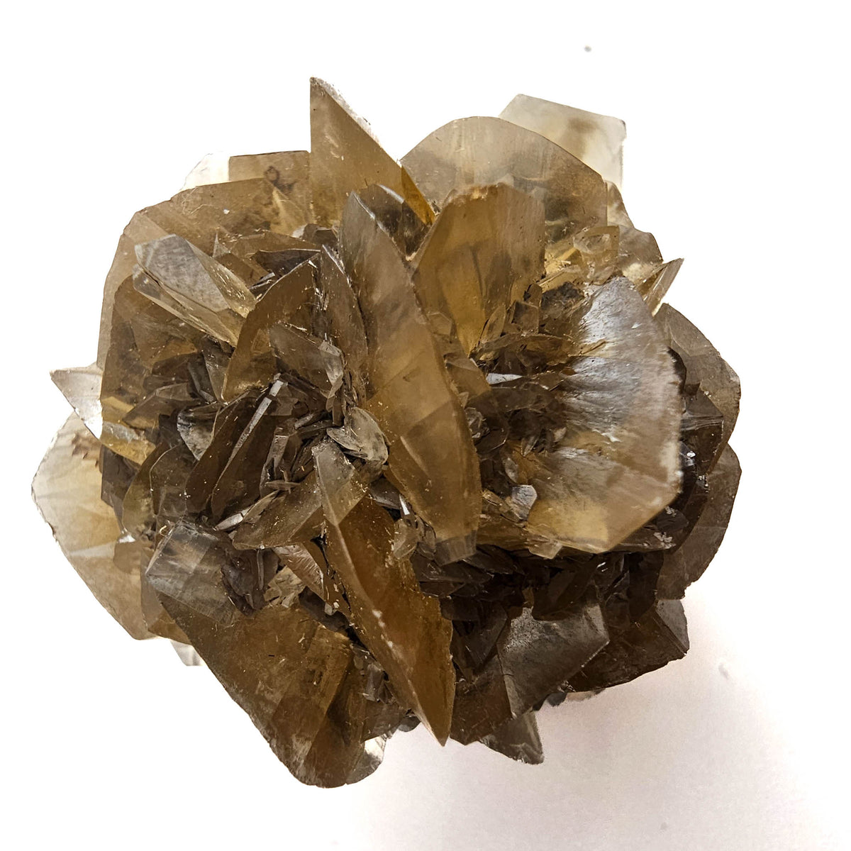 Golden Duck Bill Selenite specimen, a variety of gypsum, from Red River Floodway, Winnipeg, Manitoba, Canada.