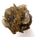 Golden Duck Bill Selenite - Specimen