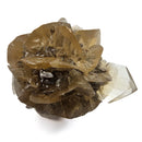 Golden Duck Bill Selenite - Specimen