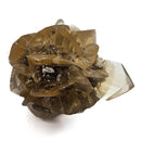 Golden Duck Bill Selenite - Specimen