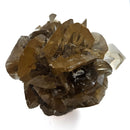 Golden Duck Bill Selenite - Specimen