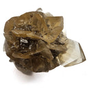 Golden Duck Bill Selenite - Specimen
