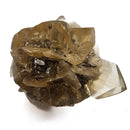 Golden Duck Bill Selenite - Specimen