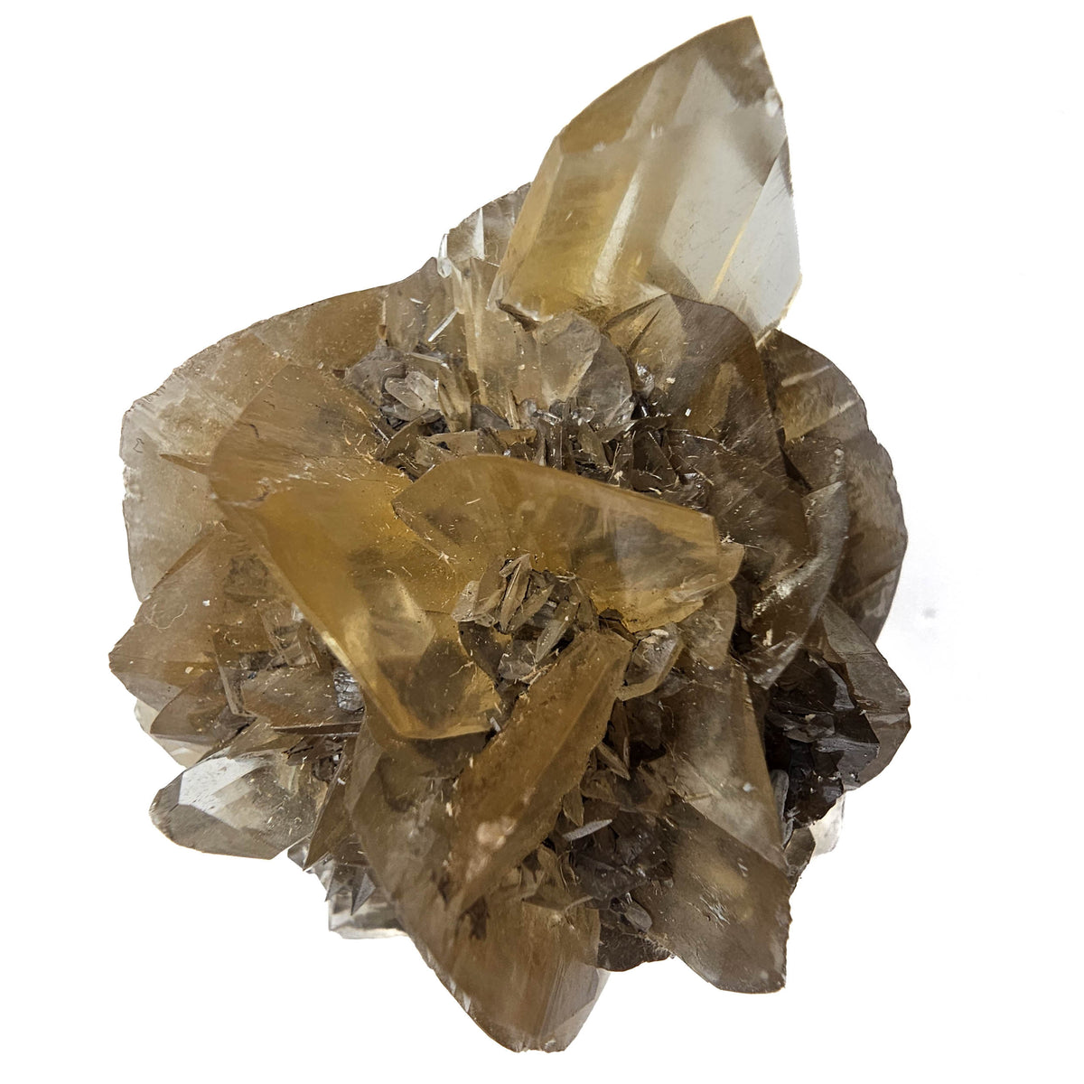 Golden Duck Bill Selenite specimen, a variety of gypsum, from Red River Floodway, Winnipeg, Manitoba, Canada.