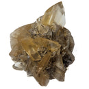 Golden Duck Bill Selenite - Specimen