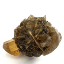 Golden Duck Bill Selenite - Specimen