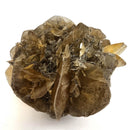 Golden Duck Bill Selenite - Specimen