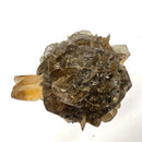 Golden Duck Bill Selenite - Specimen