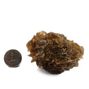 Golden Duck Bill Selenite - Specimen
