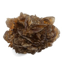 Golden Duck Bill Selenite - Specimen