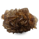 Golden Duck Bill Selenite - Specimen