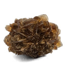 Golden Duck Bill Selenite - Specimen