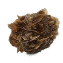 Golden Duck Bill Selenite - Specimen