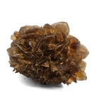 Golden Duck Bill Selenite - Specimen