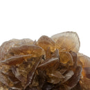 Golden Duck Bill Selenite - Specimen