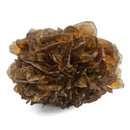 Golden Duck Bill Selenite - Specimen