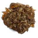 Golden Duck Bill Selenite - Specimen