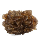 Golden Duck Bill Selenite - Specimen