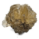 Golden Duck Bill Selenite - Specimen