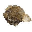 Golden Duck Bill Selenite - Specimen