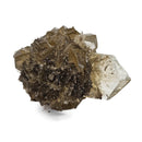 Golden Duck Bill Selenite - Specimen