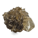 Golden Duck Bill Selenite - Specimen