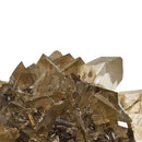 Golden Duck Bill Selenite - Specimen