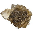 Golden Duck Bill Selenite - Specimen