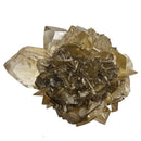 Golden Duck Bill Selenite - Specimen