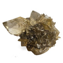 Golden Duck Bill Selenite - Specimen