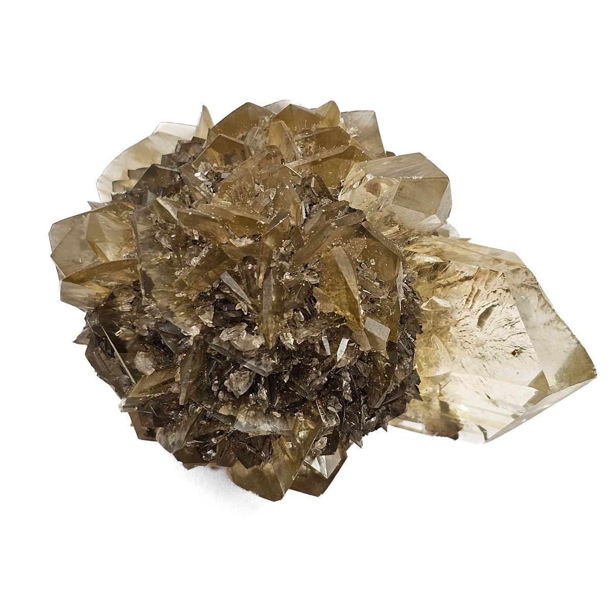 Golden Duck Bill Selenite specimen, a variety of gypsum, from Red River Floodway, Winnipeg, Manitoba, Canada.
