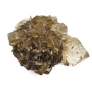 Golden Duck Bill Selenite - Specimen