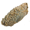 Grape Agate - Specimen