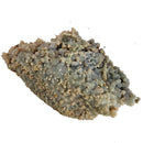 Grape Agate - Specimen