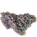 Grape Agate - Specimen