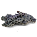 Grape Agate - Specimen