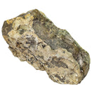 Green Opal - Rough Rock - Oregon, USA - Opaque Lapidary