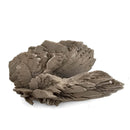 Gypsum - Specimen