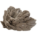 Gypsum - Specimen