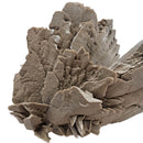 Gypsum - Specimen