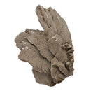 Gypsum - Specimen