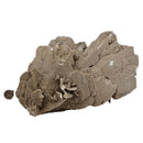 Gypsum - Specimen