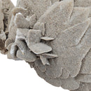 Gypsum - Specimen