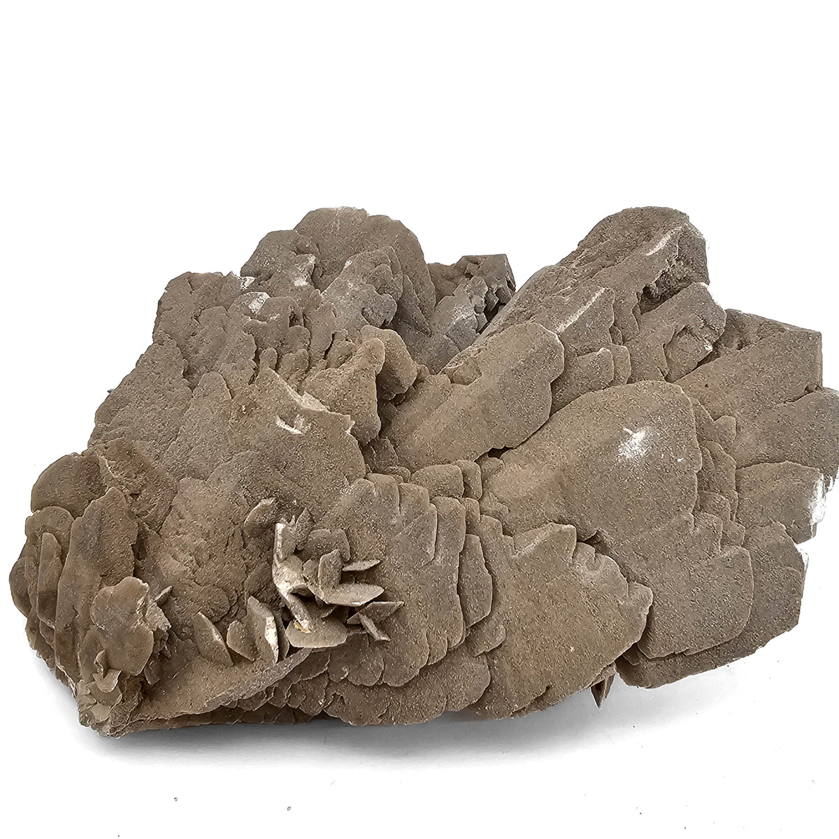 Gypsum specimen.
