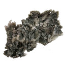 Green Halite - Mineral Specimen