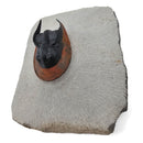 Harpes Trilobite - Fossil Specimen