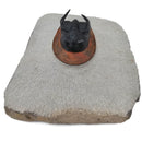 Harpes Trilobite - Fossil Specimen