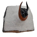 Harpes Trilobite - Fossil Specimen