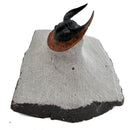 Harpes Trilobite - Fossil Specimen