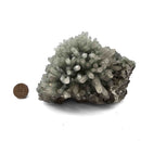 Hedenbergite Quartz - Specimen